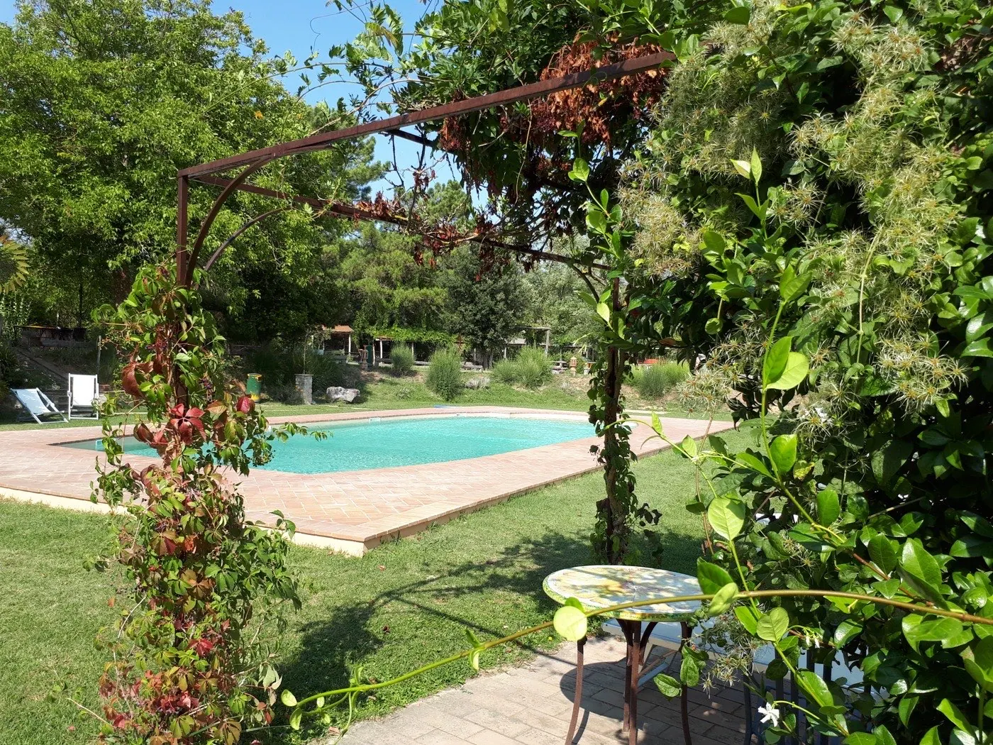 La piscina vista attraverso il pergolato in ferro battuto